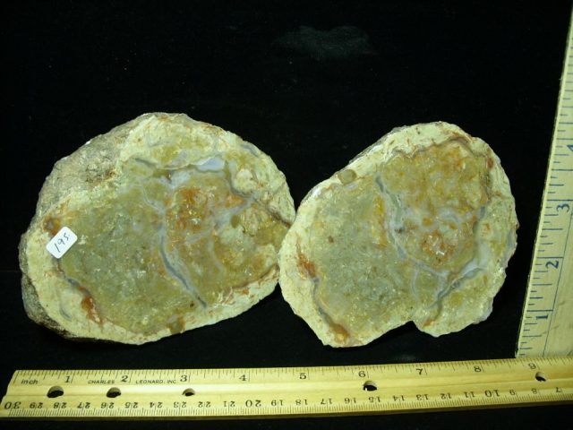 Dinosaur Coprolite  (Poop) (041821a)