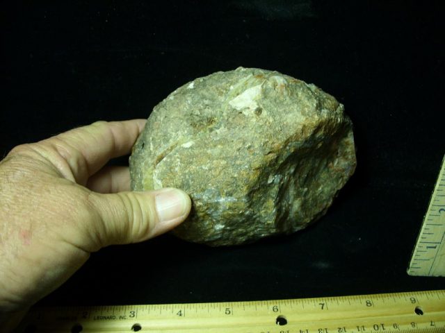 Dinosaur Coprolite  (Poop) (041821a) - Image 2