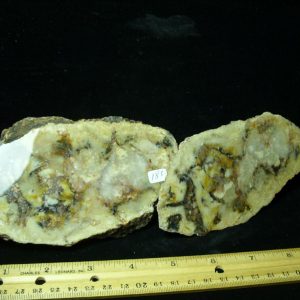 Dinosaur Coprolite  (Poop) (041821d)