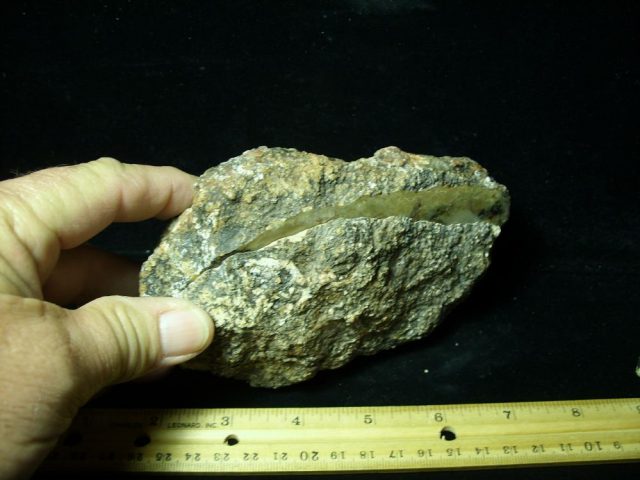 Dinosaur Coprolite  (Poop) (041821d) - Image 2