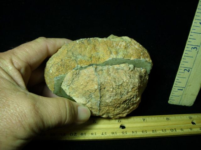 Dinosaur Coprolite  (Poop) (041821e) - Image 2