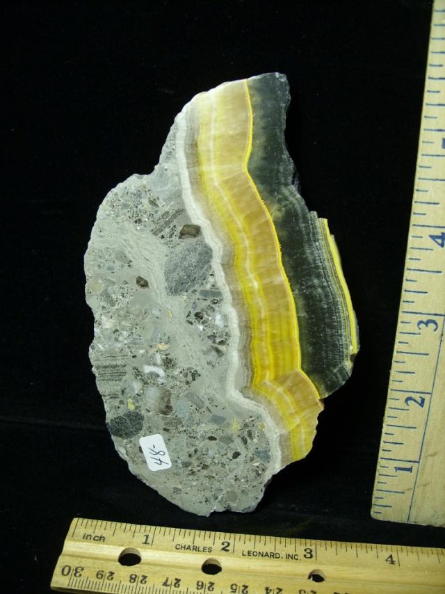 Bumble Bee Jasper Slice  (042021j)
