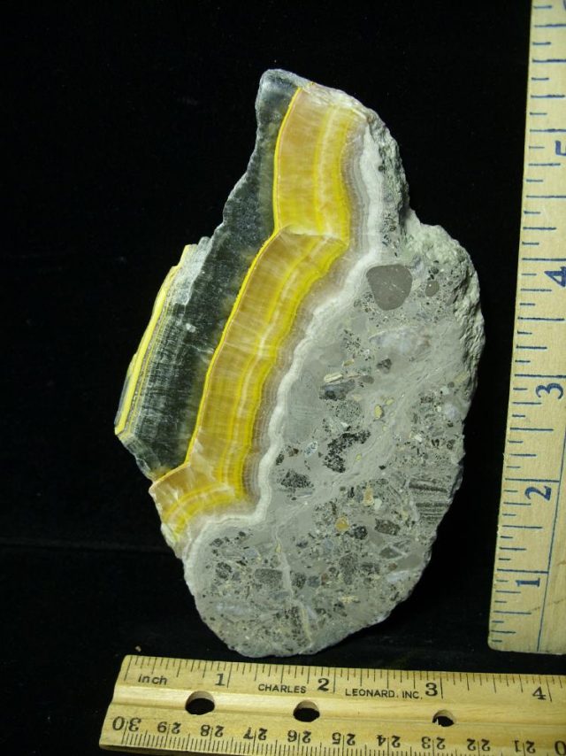 Bumble Bee Jasper Slice  (042021j) - Image 2