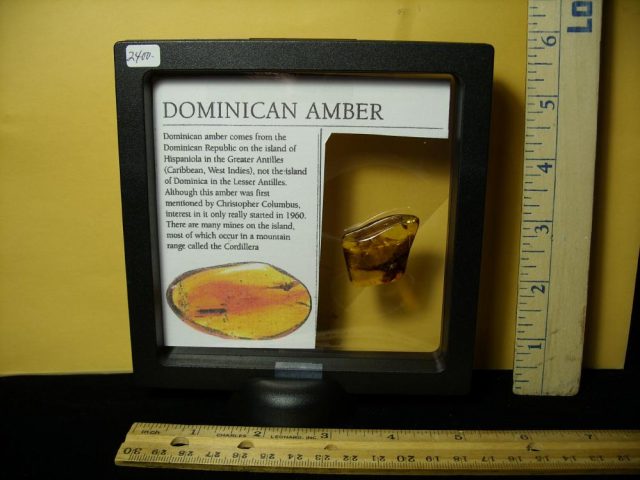 Praying Mantis in Amber (047221a) - Image 4