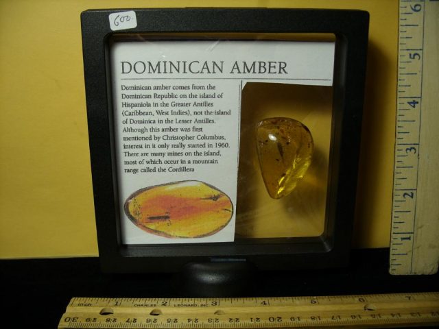 Silverfish Insect  in Amber (047221b) - Image 4