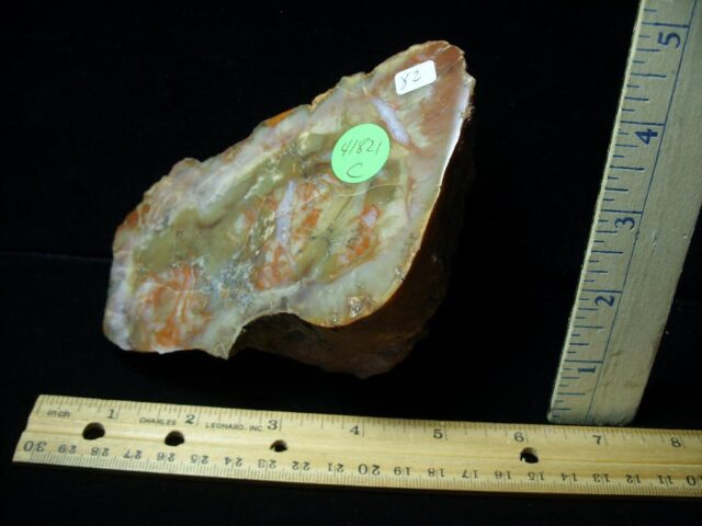 Dinosaur Coprolite  (Poop) (041821c)