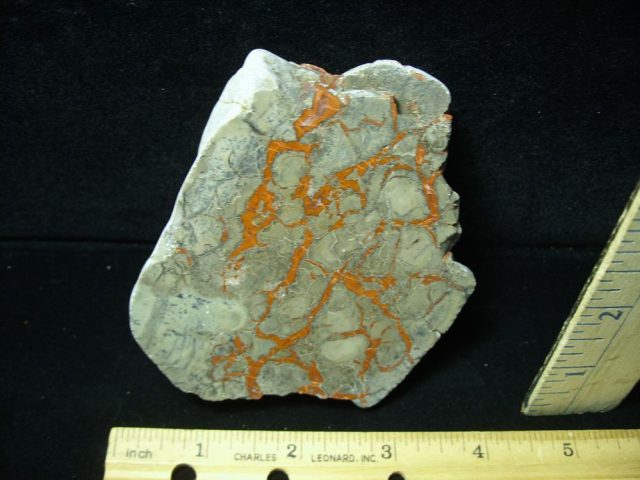 Dinosaur Coprolite  (Poop) (050821a)