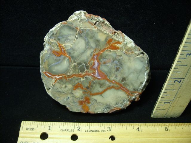 Dinosaur Coprolite  (Poop) (050821c)