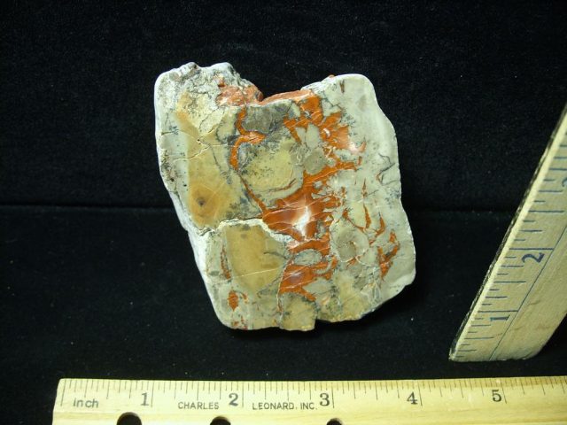 Dinosaur Coprolite  (Poop) (050821d)