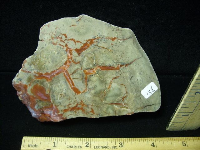 Dinosaur Coprolite  (Poop) (050821d) - Image 2