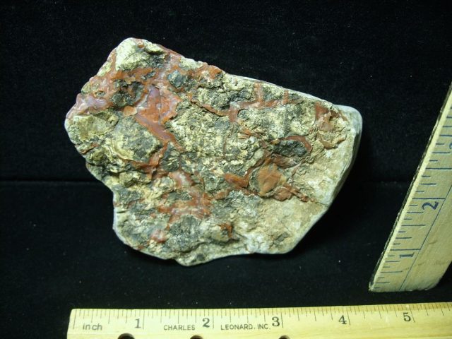 Dinosaur Coprolite  (Poop) (050821e)