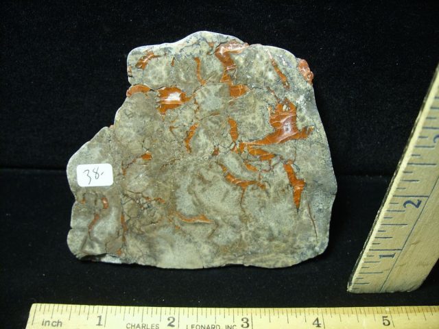 Dinosaur Coprolite  (Poop) (050821e) - Image 2
