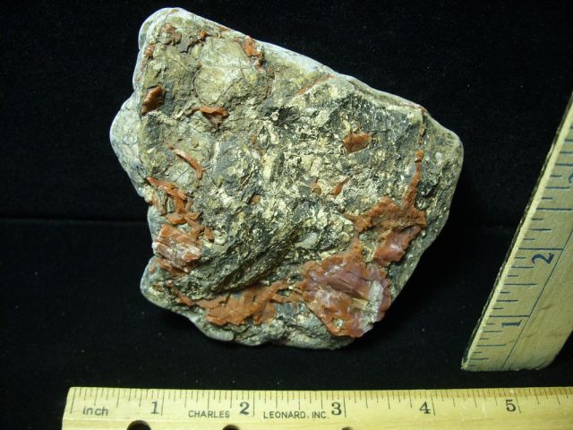 Dinosaur Coprolite  (Poop) (050821f) - Image 2