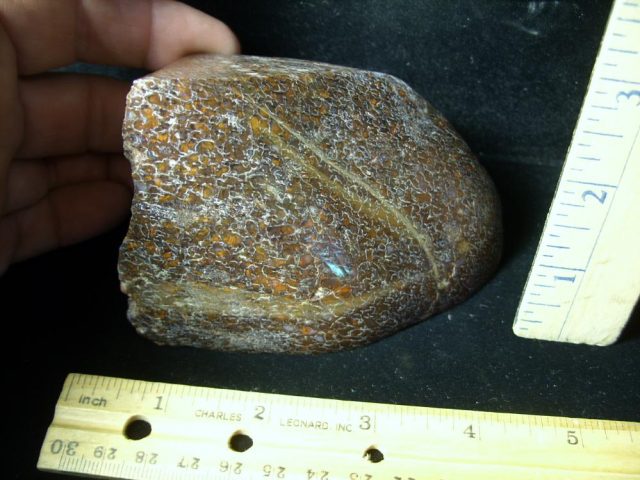 Dinosaur Gem Bone Specimen (052721m)