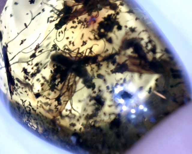 Dominican Amber Specimen with Flying Ants (065221a) - Image 2