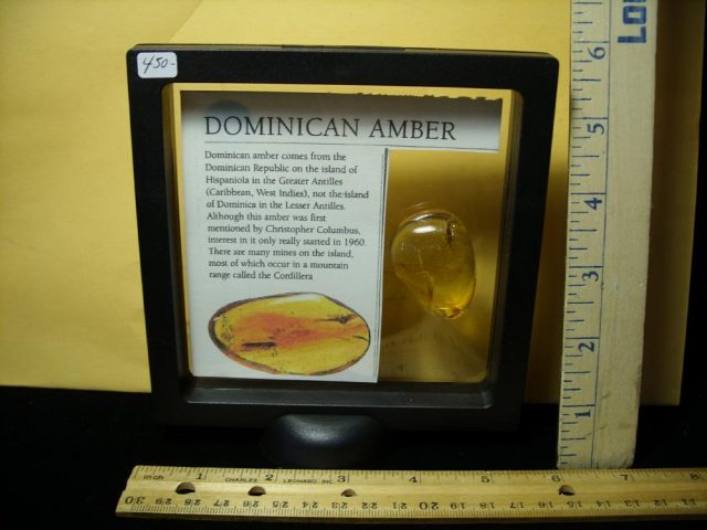 Amber Specimen with Grasshopper  (050821j) - Image 3