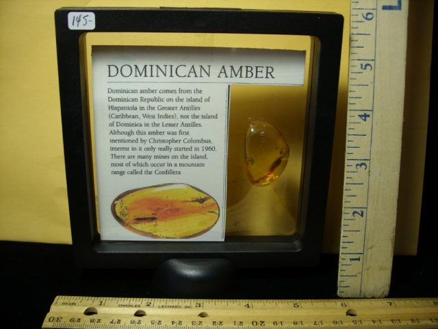 Dominican Amber Specimen with Mosquito (051421ht) - Image 3