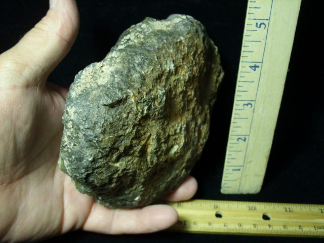 “Premium” Dinosaur Coprolite  (Poop) (061221f)---ON HOLD 01-19-22 Bob E - Image 2