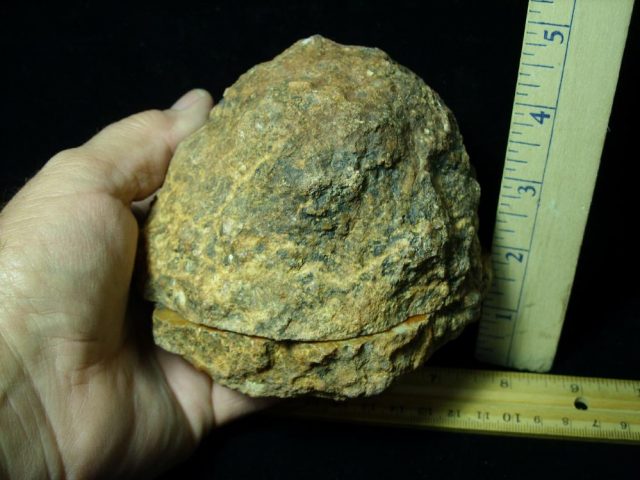 “Premium” Dinosaur Coprolite  (Poop) (061221g) - Image 2