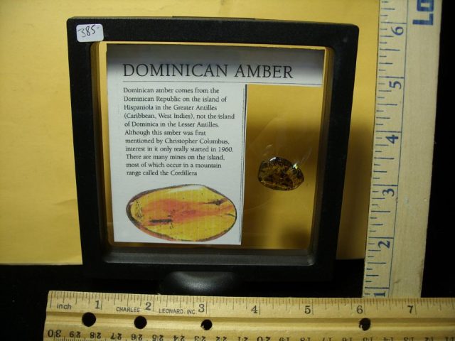 Dominican Amber Specimen with Flying Ants (065221a) - Image 3