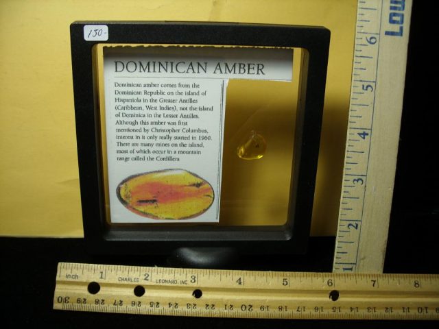 Dominican Amber Specimen with Mosquito (065221d) - Image 3