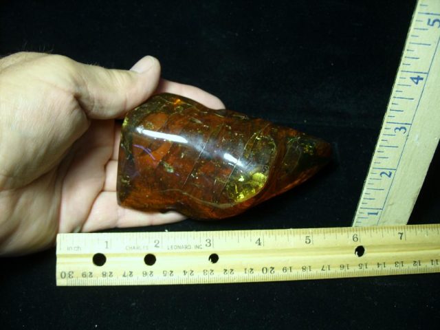 Large Dominican Amber Specimen with Insects (065221f) - Image 5