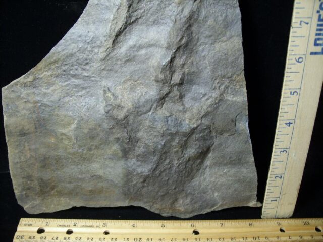 DINOSAUR TRACK  (091421k)* “SPECIAL – BELOW DEALER COST ” * - Image 2