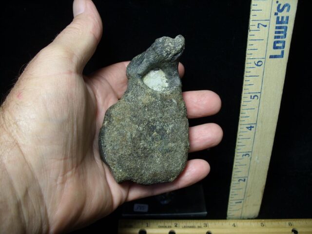 Ankylosaur Dinosaur Vertebra (091521a)---ON HOLD for BB, 09/15/21 - Image 3