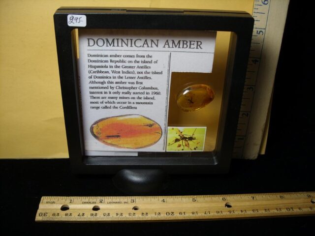 Dominican Amber Specimen with Winged Ant (092721b) - Image 3