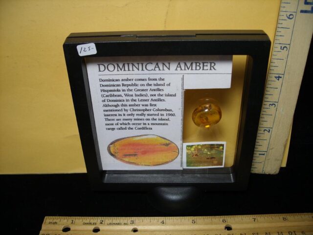 Dominican Amber Specimen with Unidentified Flies (092721h) - Image 4