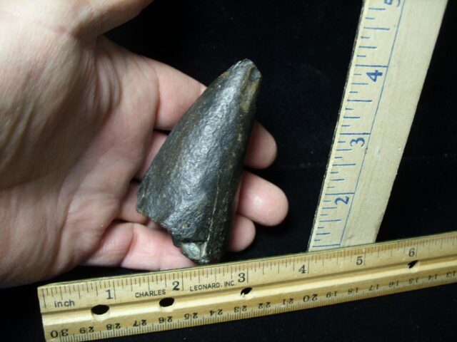 Stegosaurus Dinosaur Tail Spike  (121021d) - Image 3