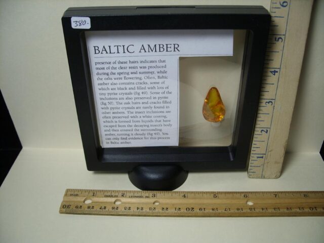 Baltic Amber Specimen with Spider  (121621h) - Image 3