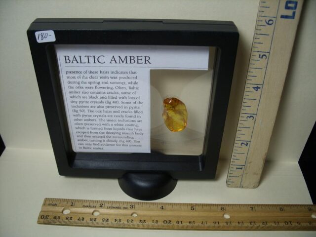Baltic Amber Specimen with Stingless Wasp  (121621g) - Image 3