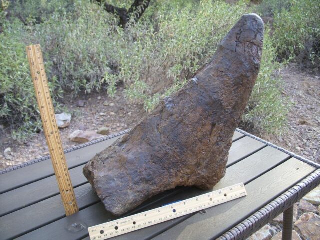 Triceratops Nose Horn (010622n)......SOLD 01/27/22 - Image 5