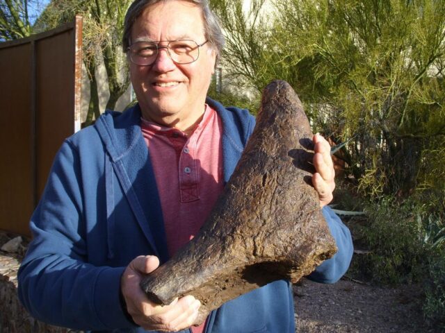 Triceratops Nose Horn (010622n)......SOLD 01/27/22 - Image 7