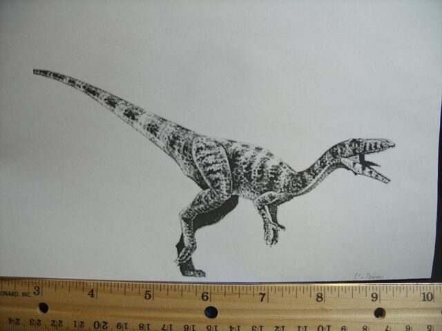 DINOSAUR TRACK  (021522a) - Image 2
