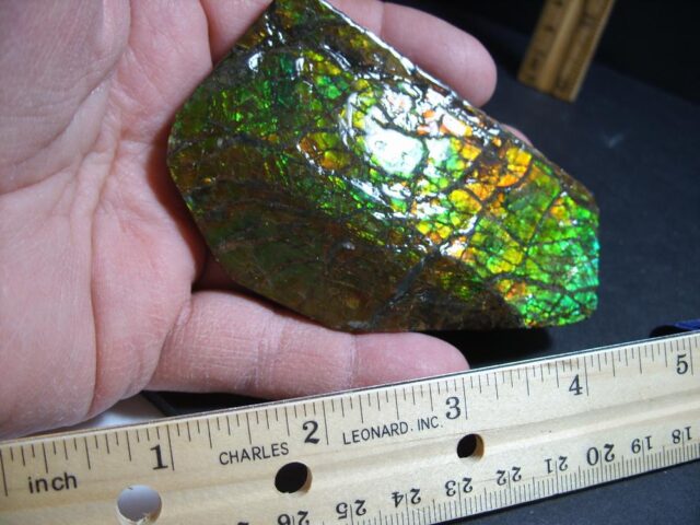 Canadian Ammonite/Ammolite Partial Specimen (013022k) - Image 2
