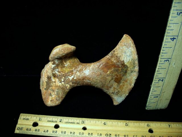 Mosasaur upper Flipper Bone (021422e)