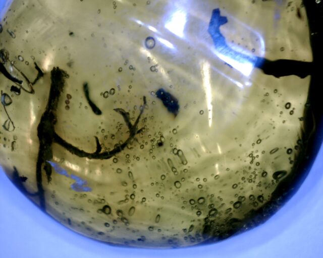 Dominican Amber with Plant Branches (030222k) - Image 2