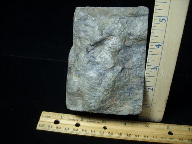 DINOSAUR TRACK  (030822j) - Image 5