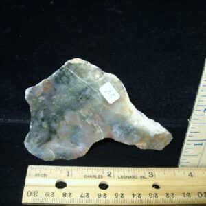 Dinosaur Coprolite  (Poop) (030122n)
