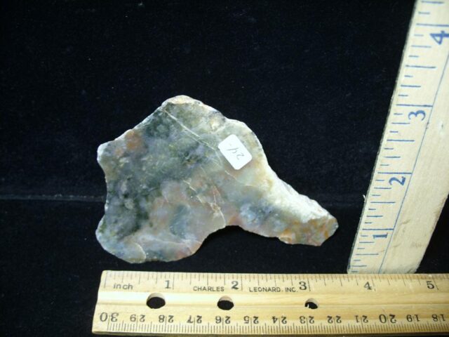 Dinosaur Coprolite  (Poop) (030122n)