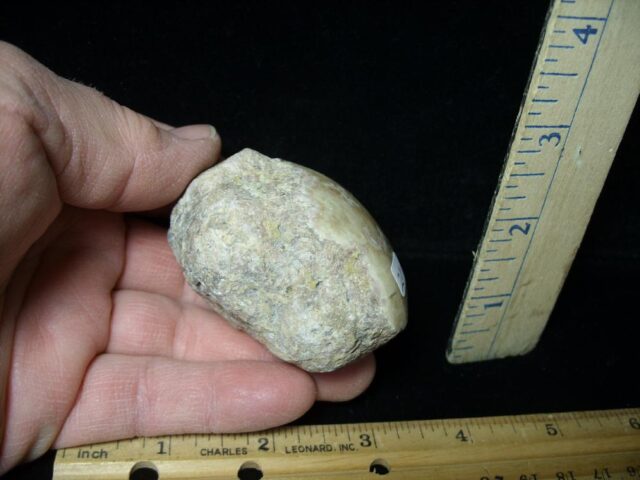 Complete Dinosaur Coprolite  (Poop) (030222b - Image 2