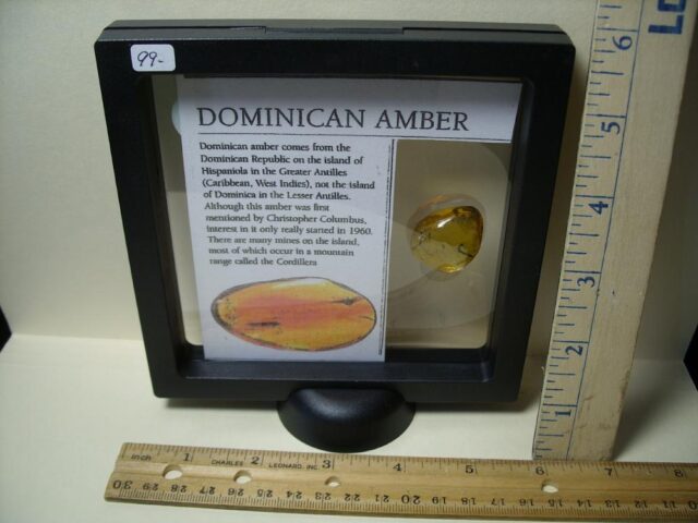 Dominican Amber with Plant Branches (030222k) - Image 3