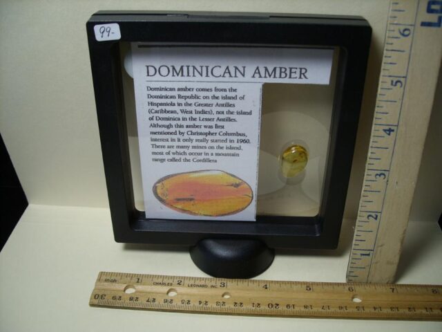 Dominican Amber Specimen with Red Ant (030222mx) - Image 3