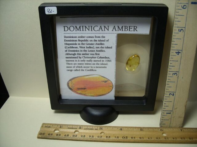 Dominican Amber with Mosquito (030222s) - Image 4