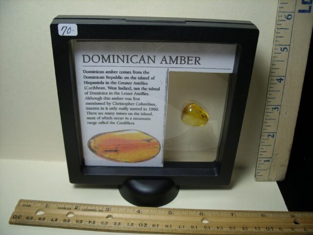 Dominican Amber Specimen with Fly  (032322e) - Image 4
