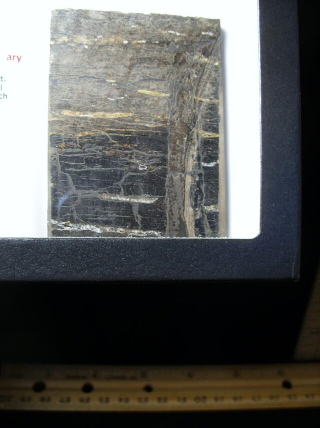 Preserved Slice of the K-T Layer (040822g) - Image 2