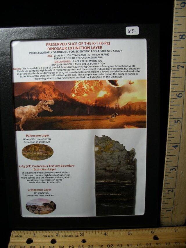 Preserved Slice of the K-T Layer (040822h)