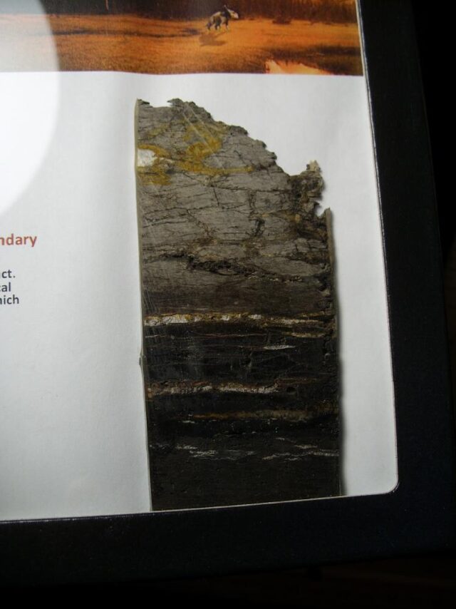 Preserved Slice of the K-T Layer (040822h) - Image 2